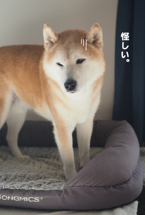 14日夜ブログ３