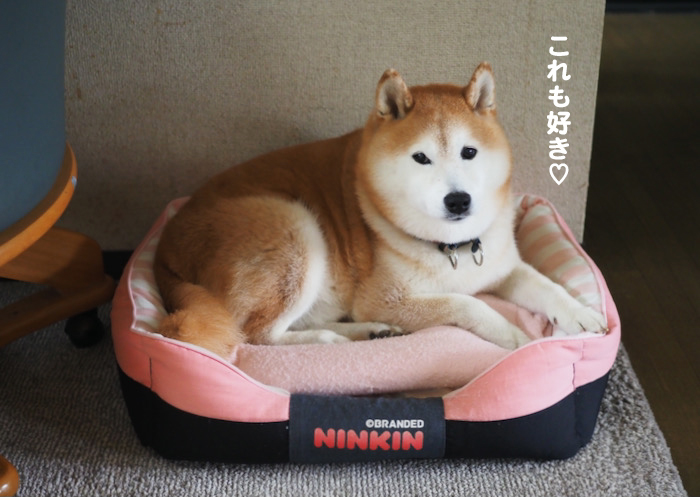 3日ブログ２