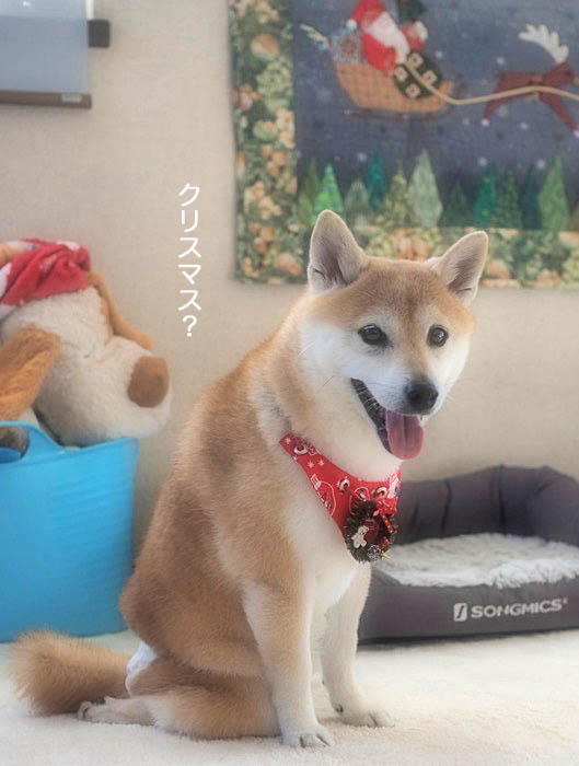 3日夕ブログ３