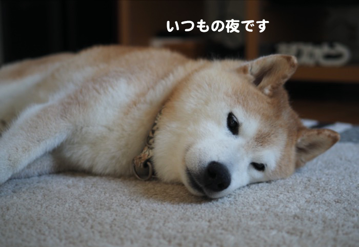 1日ブログ７