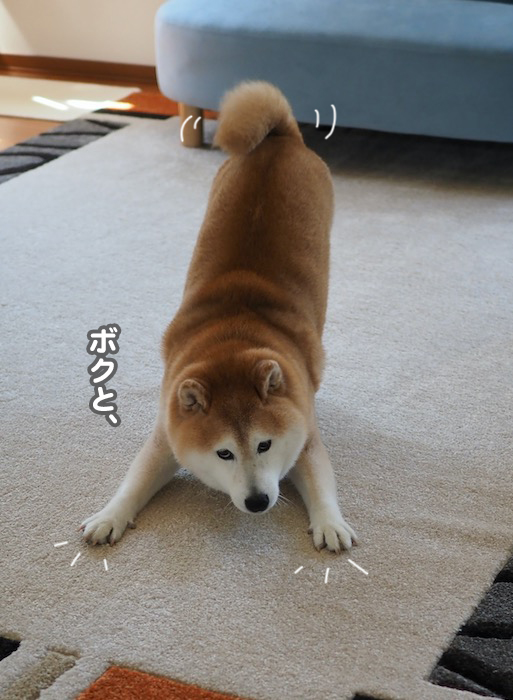 5日ブログ３