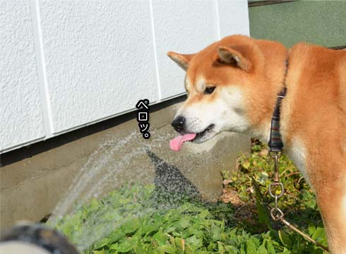 23日ブログ13.jpg