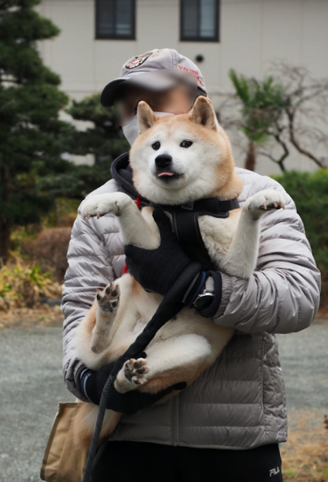 6日ブログ４