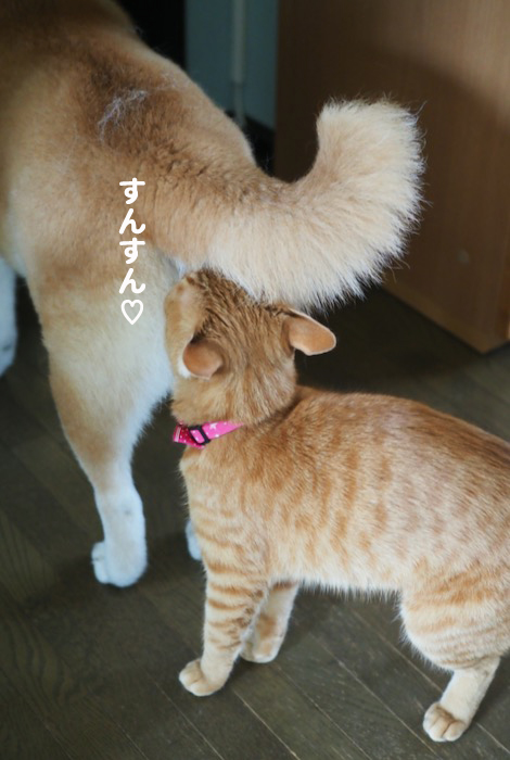 12日ブログ４