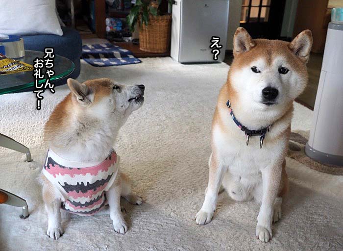 30日夜ブログ５