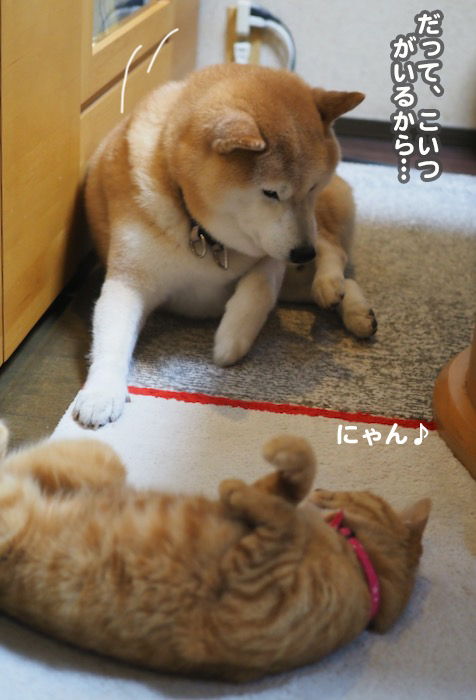 23日夕ブログ４