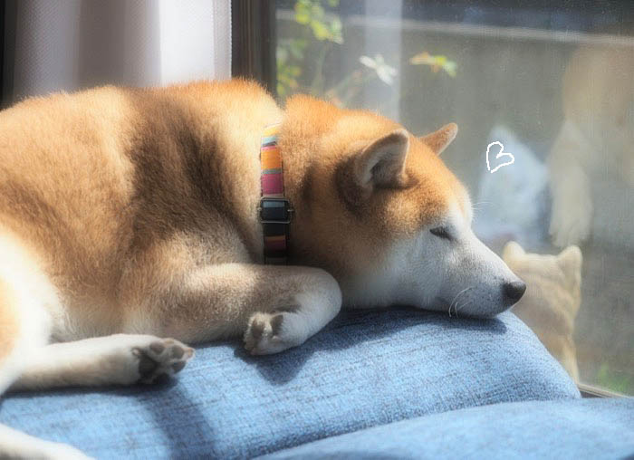 9日ブログ３