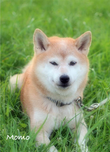 14日ブログ8.jpg