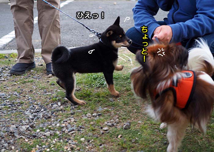 4日夜ブログ5