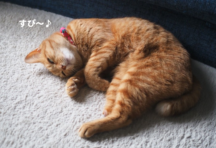 19日の夜ブログ１０