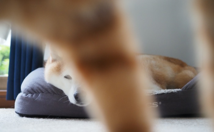 1日ブログ４
