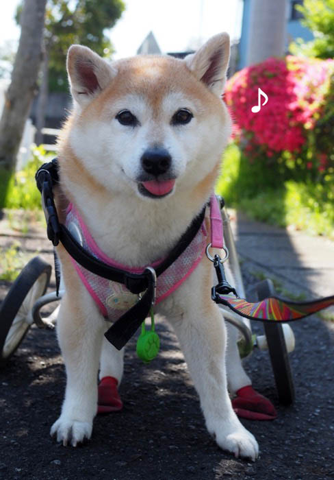 25日ブログ３