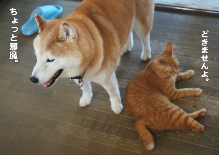 2日夕ブログ３