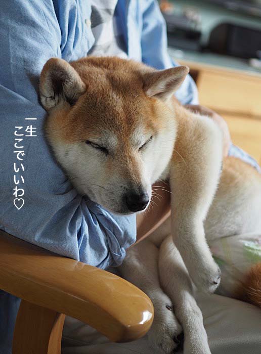 16日ブログ１２