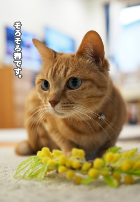 20日ブログ2