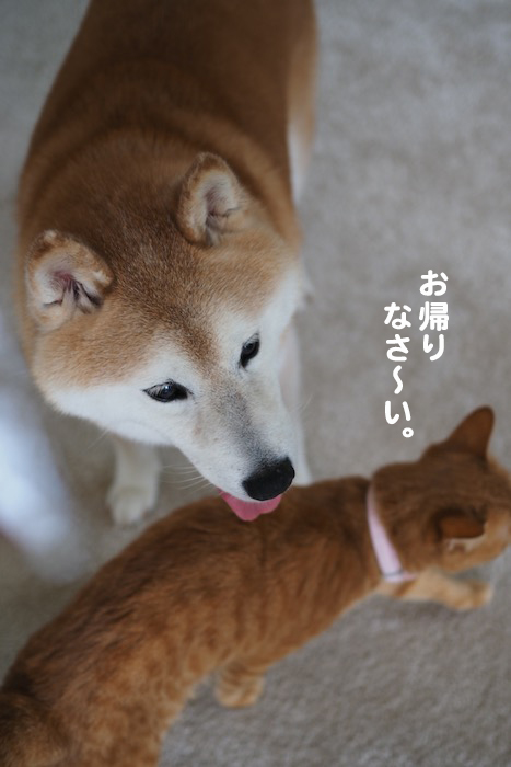 8日夕ブログ１０