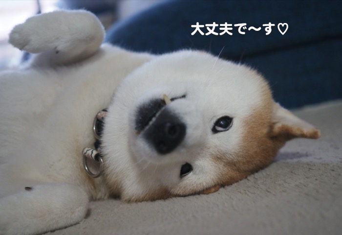 19日ブログ６