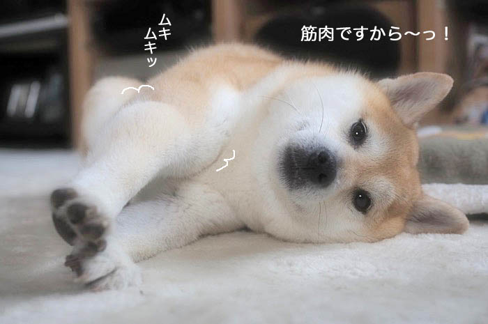 29日ブログ５