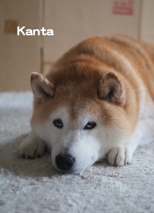 6日ブログ2