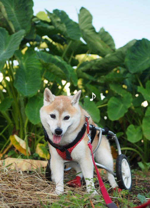 24日夕ブログ７