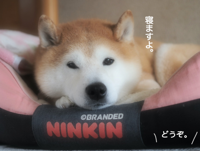 1日夜ブログ３