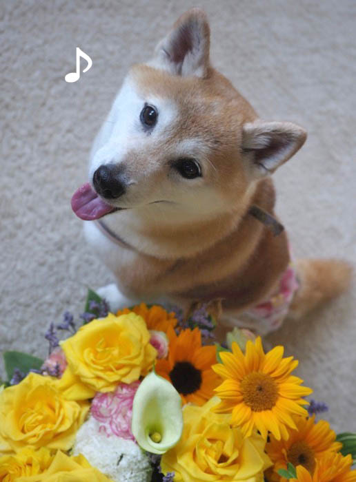 6日ブログ6