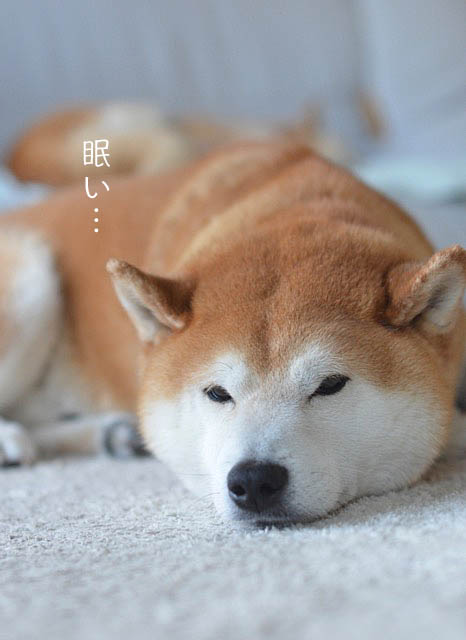 26日ブログ2