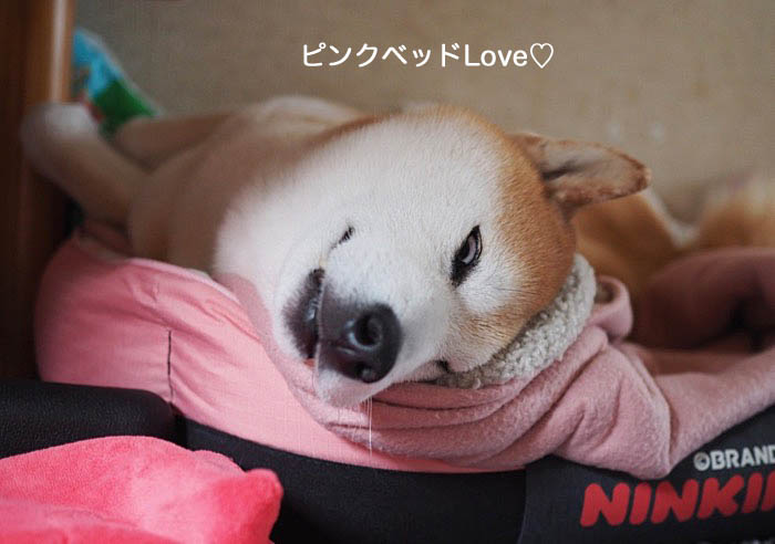 24日夜ブログ４