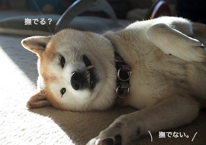 17日ブログ４