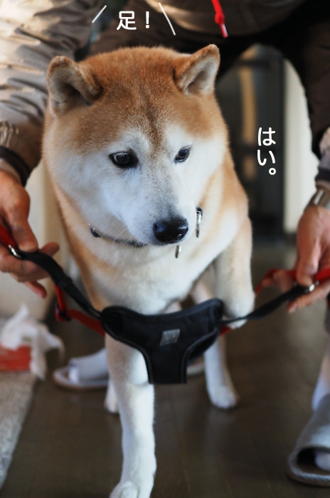 1日夜ブログ２