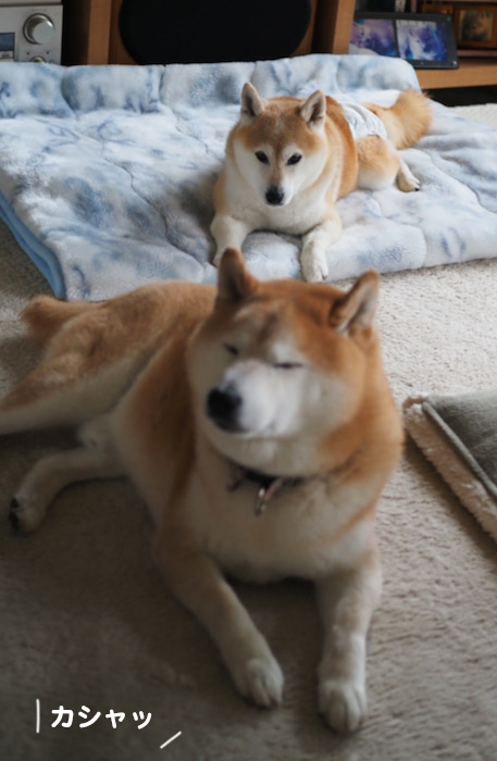26日ブログ２