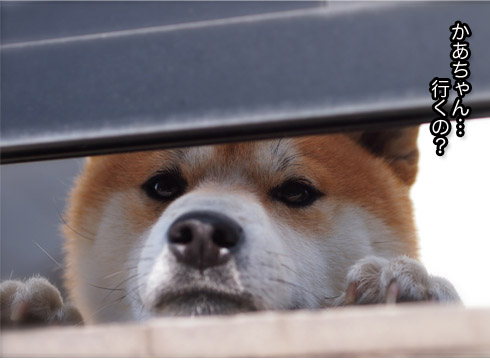 21日ブログ3.jpg