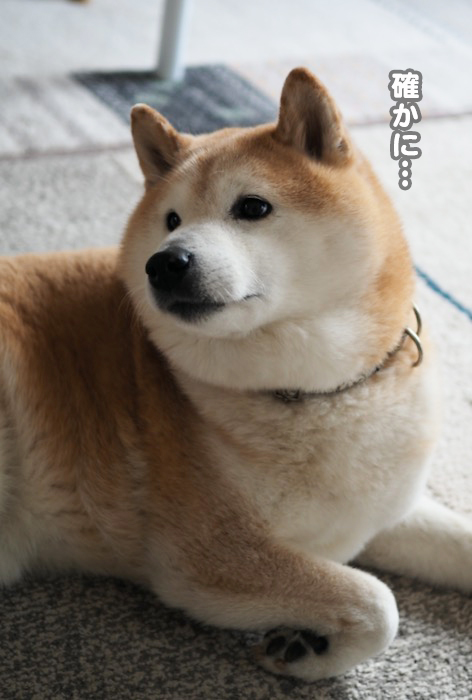 4日夕ブログ３