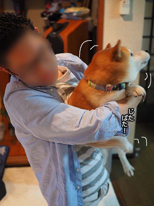 16日ブログ６