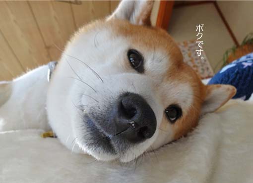 9日ブログ3.jpg