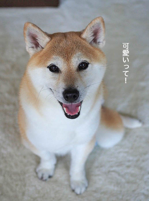 13日午後ブログ４