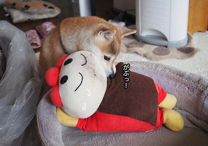24日ブログ4