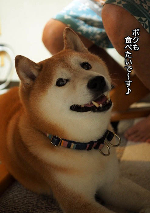 26日ブログ３