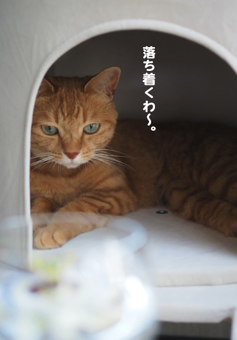 21日夜ブログ５