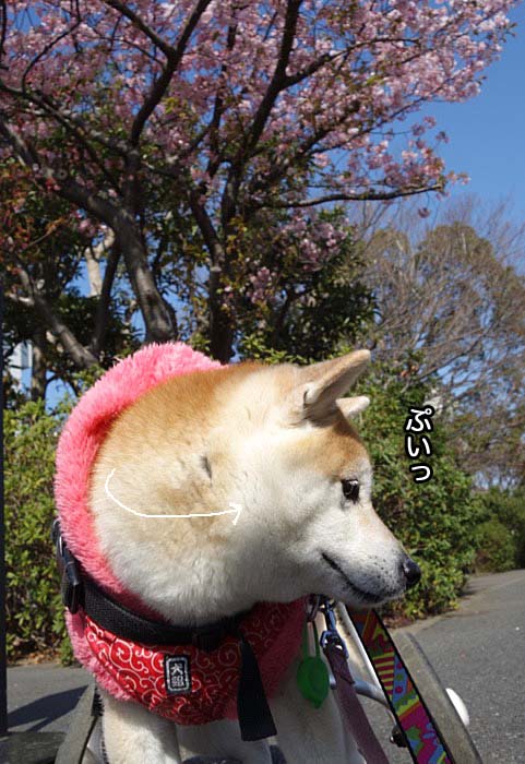 29日夜ブログ７