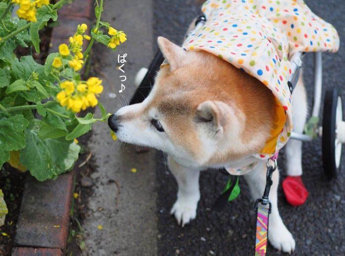 9日ブログ３