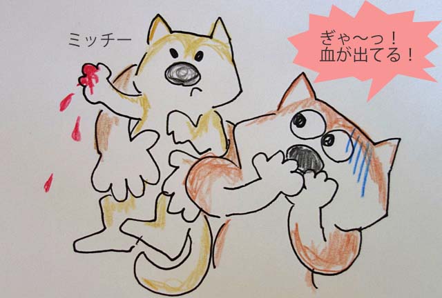 7日ブログ2