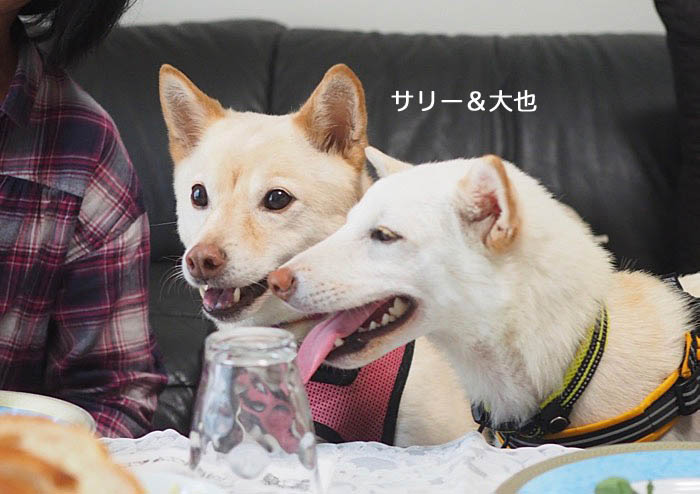 28日夜ブログ４