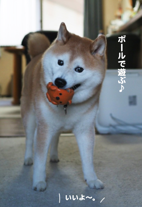 30日ブログ２