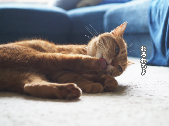 1日夕ブログ６