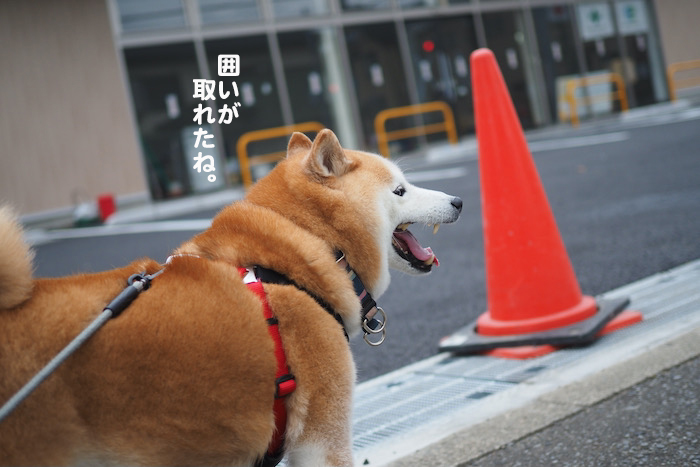 16日ブログ2