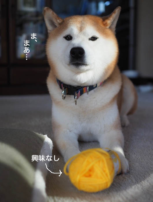 1日夜ブログ５