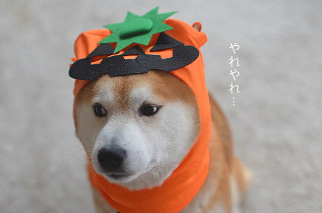 20日ブログ4