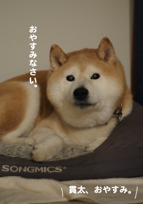27日夕ブログ6