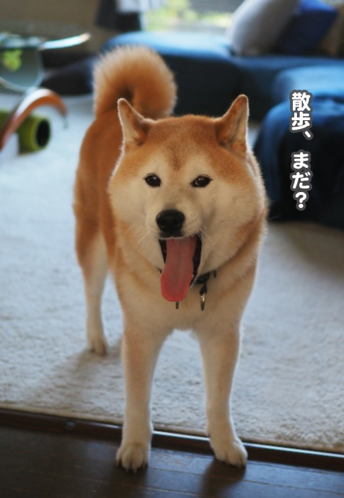 25日ブログ３